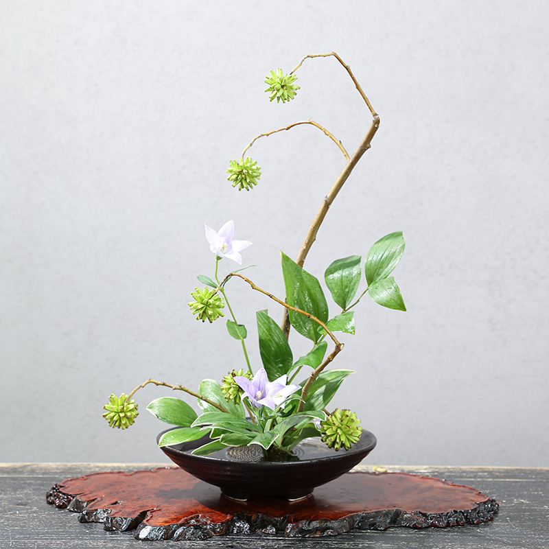 view